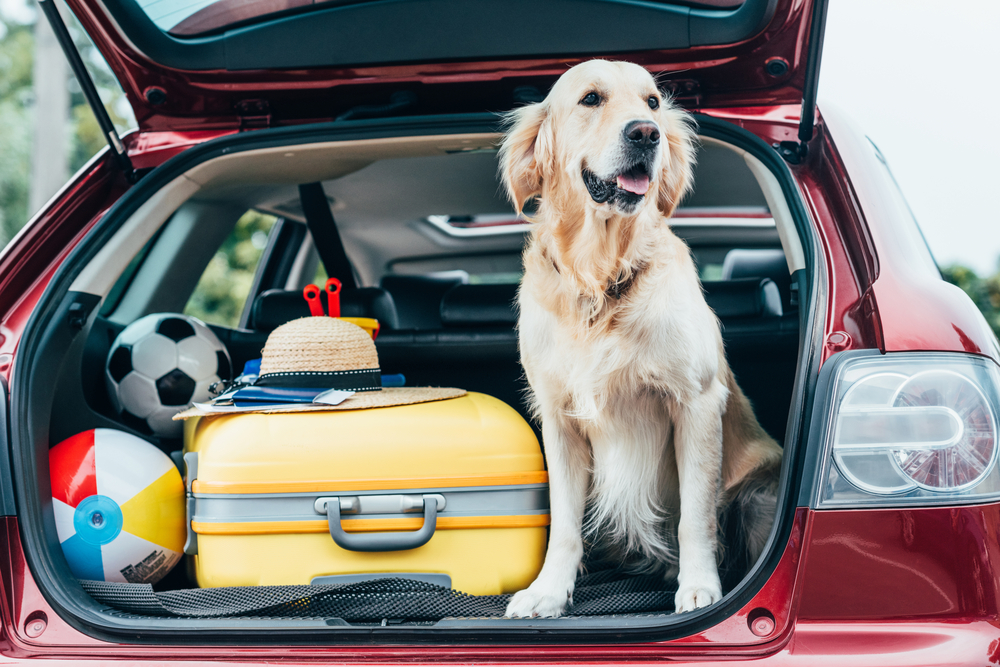 A family following a pet-friendly travel plan.